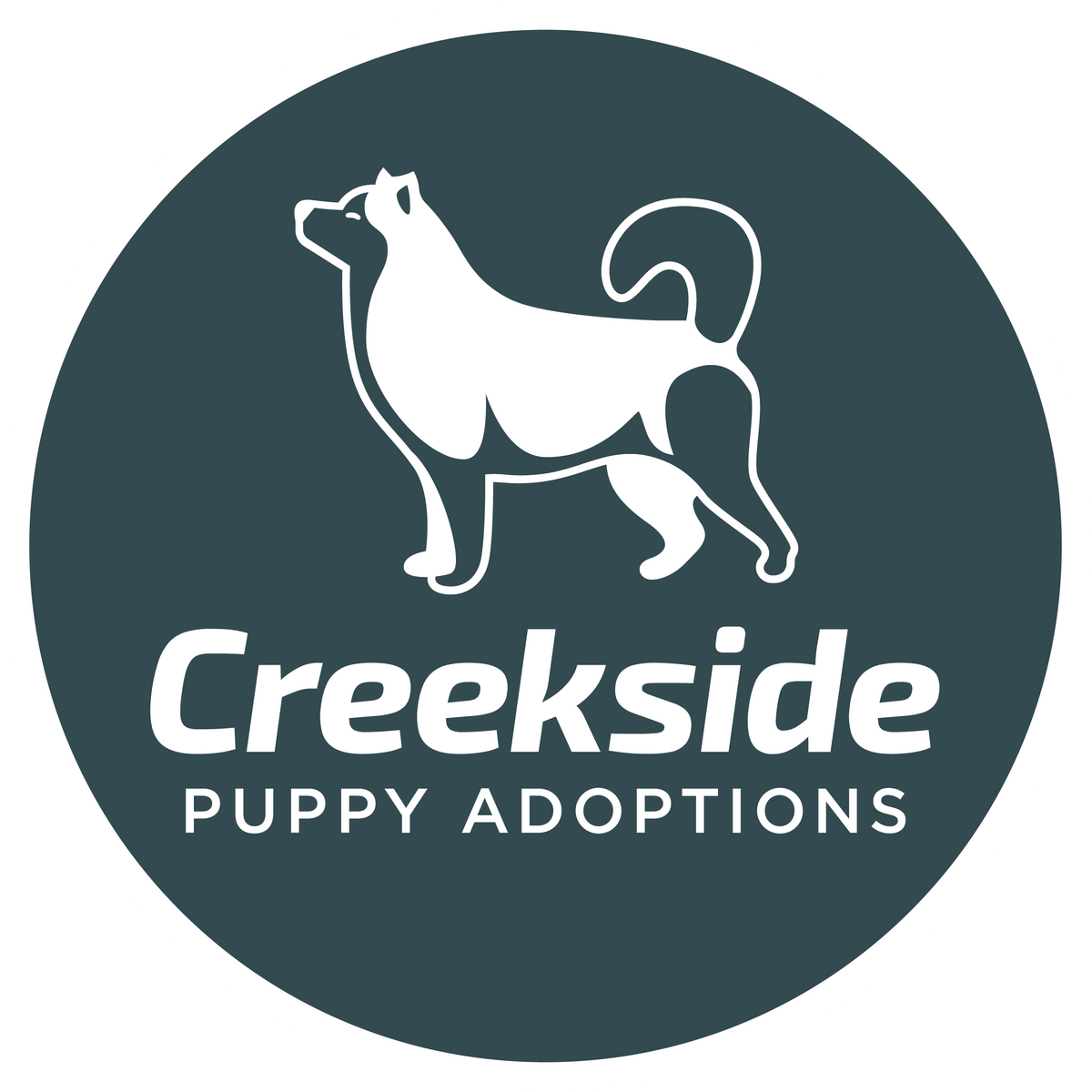Puppies For Sale From A Loving Family Owned Puppy Adoption...
– Creekside Puppy Adoptions